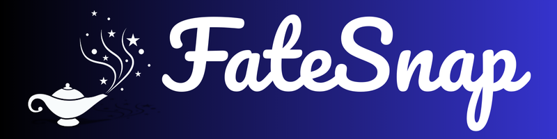 FateSnap